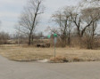 Land Investment